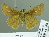  ( - HESP-EB 01750)  @13 [ ] Copyright (2010) Ernst Brockmann Research Collection of Ernst Brockmann