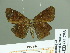  ( - HESP-EB 01756)  @11 [ ] Copyright (2010) Ernst Brockmann Research Collection of Ernst Brockmann