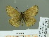  ( - HESP-EB 01757)  @13 [ ] Copyright (2010) Ernst Brockmann Research Collection of Ernst Brockmann