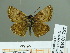  ( - HESP-EB 01757)  @13 [ ] Copyright (2010) Ernst Brockmann Research Collection of Ernst Brockmann