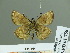  ( - HESP-EB 01758)  @13 [ ] Copyright (2010) Ernst Brockmann Research Collection of Ernst Brockmann