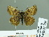  ( - HESP-EB 01758)  @12 [ ] Copyright (2010) Ernst Brockmann Research Collection of Ernst Brockmann