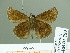  ( - HESP-EB 01759)  @11 [ ] Copyright (2010) Ernst Brockmann Research Collection of Ernst Brockmann