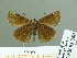  ( - HESP-EB 01760)  @11 [ ] Copyright (2010) Ernst Brockmann Research Collection of Ernst Brockmann