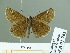  ( - HESP-EB 01761)  @11 [ ] Copyright (2010) Ernst Brockmann Research Collection of Ernst Brockmann