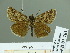  ( - HESP-EB 01761)  @11 [ ] Copyright (2010) Ernst Brockmann Research Collection of Ernst Brockmann