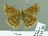  ( - HESP-EB 01762)  @12 [ ] Copyright (2010) Ernst Brockmann Research Collection of Ernst Brockmann