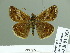  ( - HESP-EB 01763)  @12 [ ] Copyright (2010) Ernst Brockmann Research Collection of Ernst Brockmann