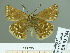  ( - HESP-EB 01764)  @12 [ ] Copyright (2010) Ernst Brockmann Research Collection of Ernst Brockmann