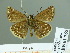  ( - HESP-EB 01765)  @11 [ ] Copyright (2010) Ernst Brockmann Research Collection of Ernst Brockmann