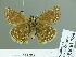  ( - HESP-EB 01766)  @12 [ ] Copyright (2010) Ernst Brockmann Research Collection of Ernst Brockmann