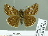  ( - HESP-EB 01766)  @13 [ ] Copyright (2010) Ernst Brockmann Research Collection of Ernst Brockmann