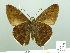  ( - HESP-EB 01875)  @13 [ ] Copyright (2010) Ernst Brockmann Research Collection of Ernst Brockmann