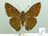  ( - HESP-EB 01875)  @14 [ ] Copyright (2010) Ernst Brockmann Research Collection of Ernst Brockmann