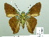  ( - HESP-EB 01882)  @14 [ ] Copyright (2010) Ernst Brockmann Research Collection of Ernst Brockmann