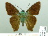  ( - HESP-EB 01882)  @14 [ ] Copyright (2010) Ernst Brockmann Research Collection of Ernst Brockmann