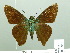  ( - HESP-EB 01883)  @14 [ ] Copyright (2010) Ernst Brockmann Research Collection of Ernst Brockmann