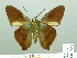  ( - HESP-EB 01884)  @14 [ ] Copyright (2010) Ernst Brockmann Research Collection of Ernst Brockmann