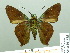  ( - HESP-EB 01885)  @14 [ ] Copyright (2010) Ernst Brockmann Research Collection of Ernst Brockmann