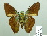  ( - HESP-EB 01886)  @14 [ ] Copyright (2010) Ernst Brockmann Research Collection of Ernst Brockmann