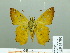  ( - HESP-EB 01893)  @12 [ ] Copyright (2010) Ernst Brockmann Research Collection of Ernst Brockmann