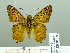  ( - HESP-EB 01893)  @14 [ ] Copyright (2010) Ernst Brockmann Research Collection of Ernst Brockmann