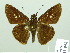  ( - HESP-EB 01958)  @14 [ ] Copyright (2010) Ernst Brockmann Research Collection of Ernst Brockmann