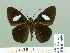  ( - HESP-EB 01959)  @13 [ ] Copyright (2010) Ernst Brockmann Research Collection of Ernst Brockmann