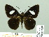  ( - HESP-EB 01959)  @14 [ ] Copyright (2010) Ernst Brockmann Research Collection of Ernst Brockmann