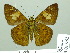  ( - HESP-EB 01962)  @13 [ ] Copyright (2010) Ernst Brockmann Research Collection of Ernst Brockmann