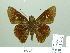  ( - HESP-EB 01966)  @14 [ ] Copyright (2010) Ernst Brockmann Research Collection of Ernst Brockmann