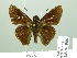  ( - HESP-EB 01966)  @14 [ ] Copyright (2010) Ernst Brockmann Research Collection of Ernst Brockmann