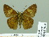  ( - HESP-EB 01969)  @13 [ ] Copyright (2010) Ernst Brockmann Research Collection of Ernst Brockmann