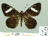  ( - HESP-EB 01974)  @13 [ ] Copyright (2010) Ernst Brockmann Research Collection of Ernst Brockmann