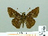 ( - HESP-EB 01988)  @13 [ ] Copyright (2010) Ernst Brockmann Research Collection of Ernst Brockmann