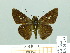  ( - HESP-EB 01988)  @13 [ ] Copyright (2010) Ernst Brockmann Research Collection of Ernst Brockmann