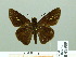  ( - HESP-EB 01989)  @14 [ ] Copyright (2010) Ernst Brockmann Research Collection of Ernst Brockmann