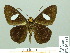  ( - HESP-EB 01992)  @14 [ ] Copyright (2010) Ernst Brockmann Research Collection of Ernst Brockmann