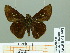  ( - HESP-EB 01993)  @13 [ ] Copyright (2010) Ernst Brockmann Research Collection of Ernst Brockmann