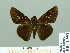  ( - HESP-EB 01993)  @13 [ ] Copyright (2010) Ernst Brockmann Research Collection of Ernst Brockmann