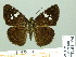  ( - HESP-EB 01994)  @13 [ ] Copyright (2010) Ernst Brockmann Research Collection of Ernst Brockmann
