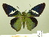  ( - HESP-EB 00 866)  @11 [ ] Copyright (2010) Unspecified Research Collection of Ernst Brockmann