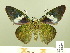  ( - HESP-EB 00 867)  @12 [ ] Copyright (2010) Unspecified Research Collection of Ernst Brockmann