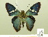  ( - HESP-EB 00 874)  @14 [ ] Copyright (2010) Unspecified Research Collection of Ernst Brockmann