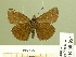  ( - HESP-EB 00 954)  @13 [ ] Copyright (2010) Unspecified Research Collection of Ernst Brockmann