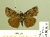  ( - HESP-EB 00 954)  @13 [ ] Copyright (2010) Unspecified Research Collection of Ernst Brockmann