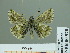  ( - HESP-EB 00 970)  @14 [ ] Copyright (2010) Unspecified Research Collection of Ernst Brockmann