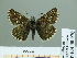  ( - HESP-EB 00 970)  @14 [ ] Copyright (2010) Unspecified Research Collection of Ernst Brockmann