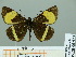  ( - HESP-EB 00 973)  @13 [ ] Copyright (2010) Unspecified Research Collection of Ernst Brockmann