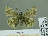  ( - HESP-EB 00 974)  @13 [ ] Copyright (2010) Unspecified Research Collection of Ernst Brockmann